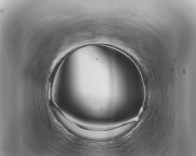 X0000087551510200705041315