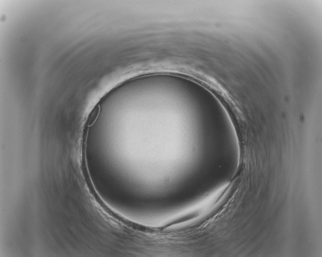 X0000087551512200705041315