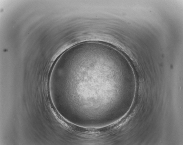 X0000087551513200705041315