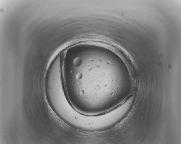 X0000087551514200705041315