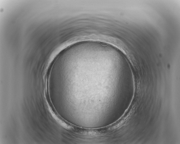 X0000087551515200705041315