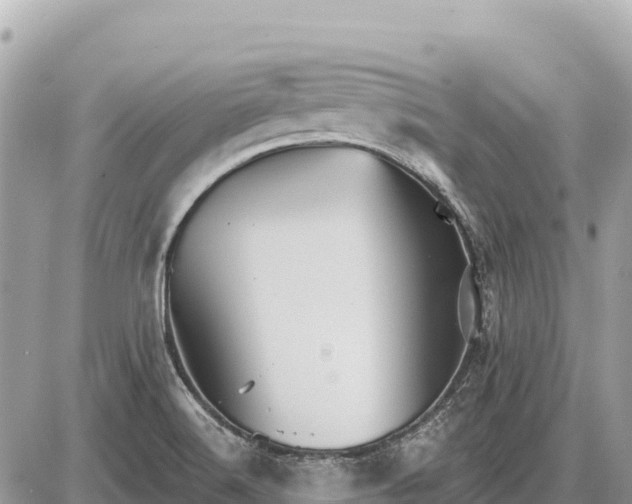 X0000087551516200705041315