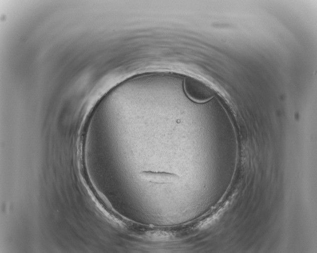 X0000087551517200705041315