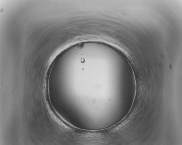 X0000087551518200705041315