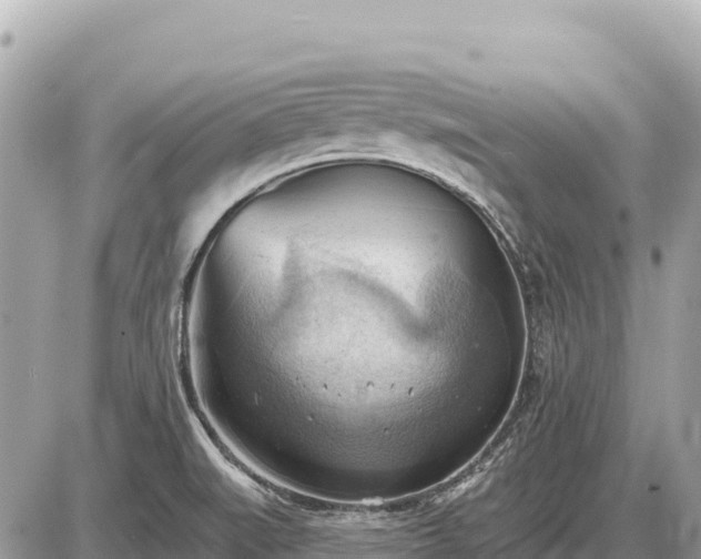 X0000087551519200705041315