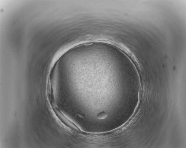 X0000087551520200705041315