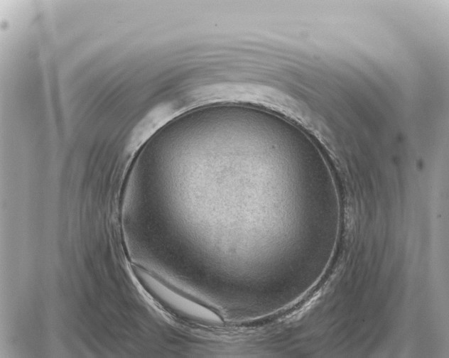 X0000087551521200705041315