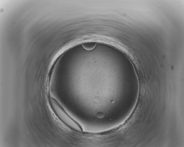 X0000087551522200705041315