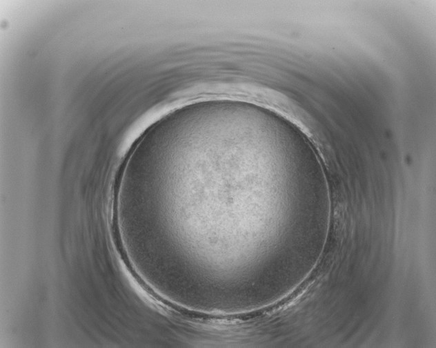 X0000087551523200705041315