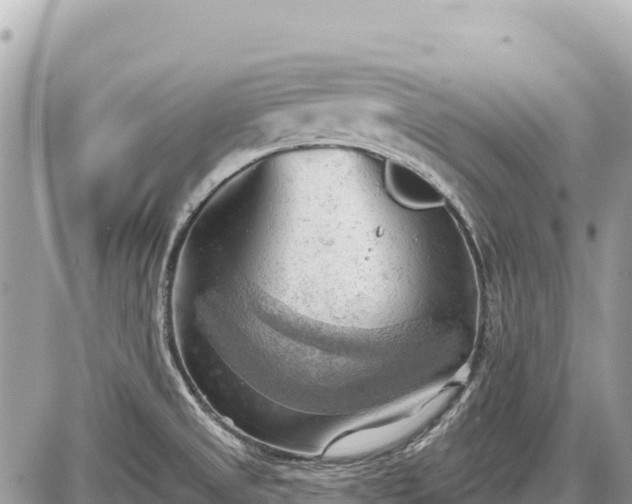 X0000087551525200705041315