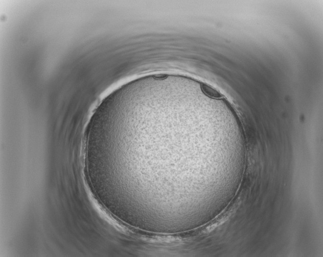 X0000087551526200705041315