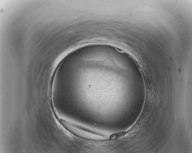 X0000087551527200705041315