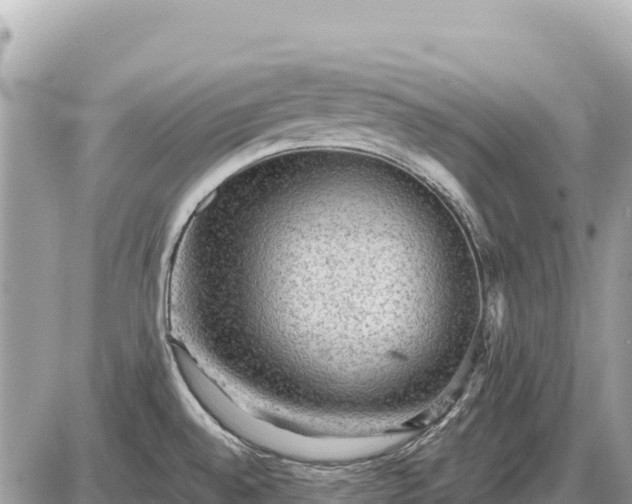 X0000087551528200705041315