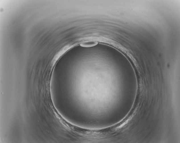 X0000087551529200705041315