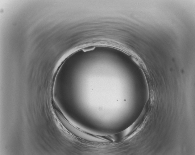 X0000087551530200705041315