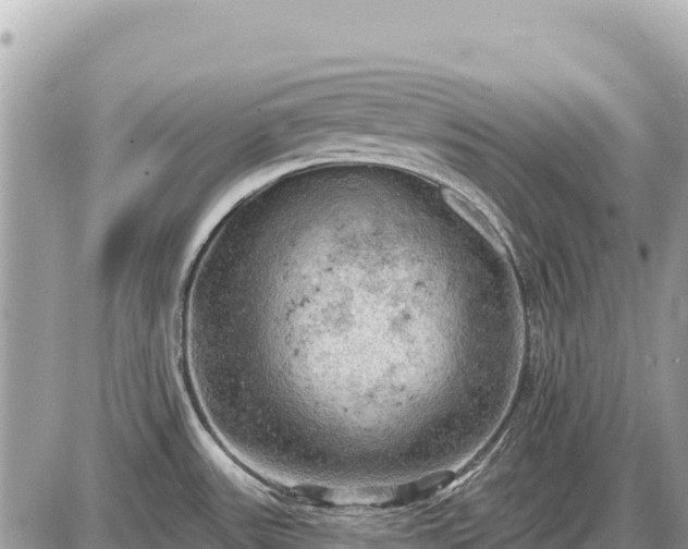 X0000087551531200705041315