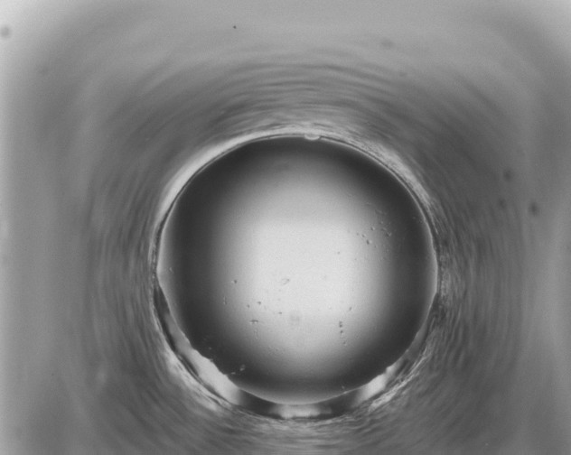 X0000087551532200705041315