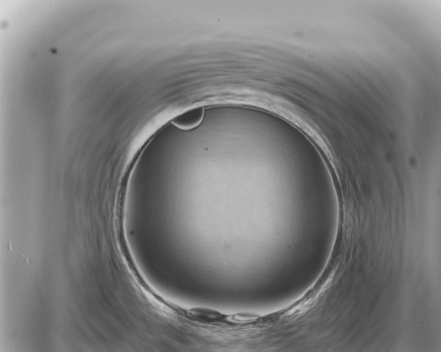 X0000087551533200705041315