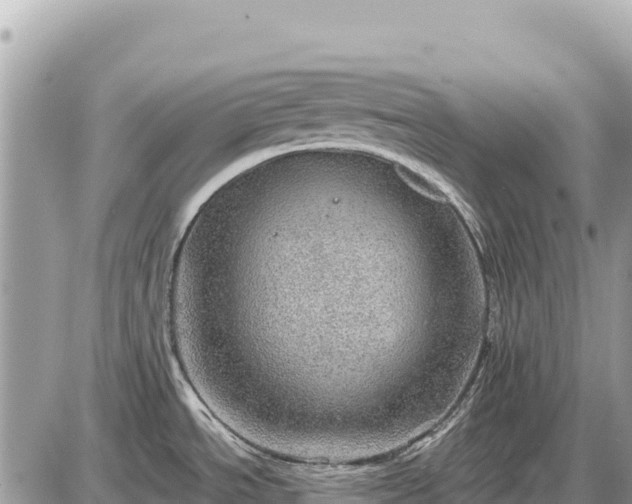 X0000087551534200705041315