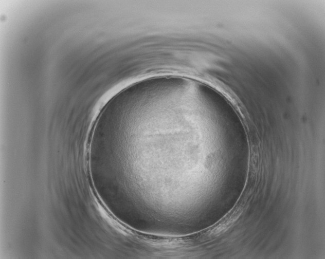 X0000087551535200705041315