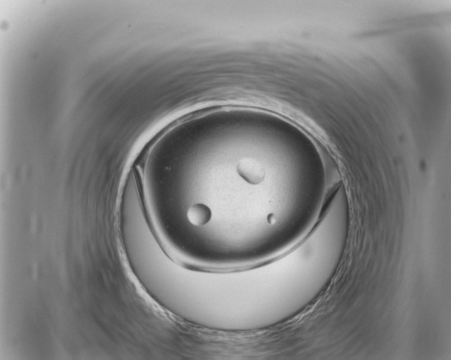 X0000087551536200705041315