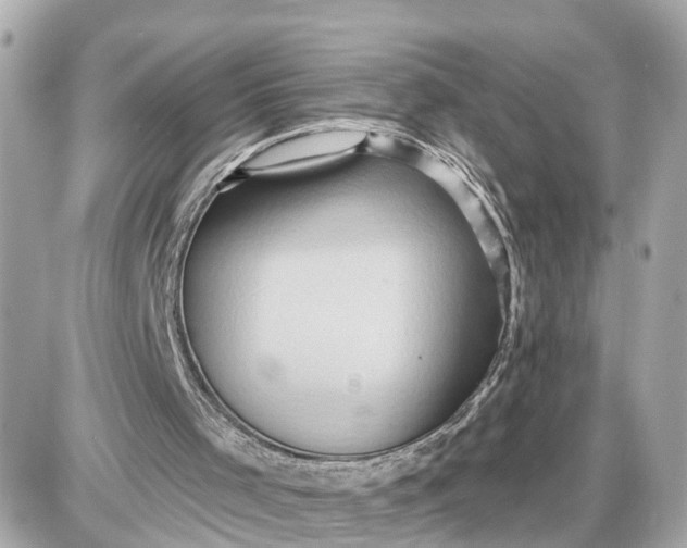 X0000087550001200705112133