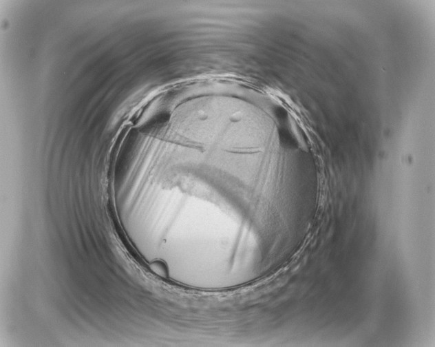 X0000087550002200705112133