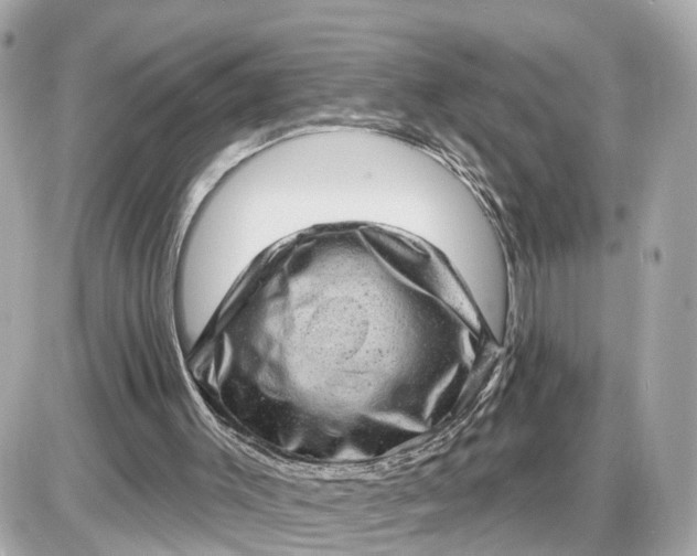 X0000087550003200705112133