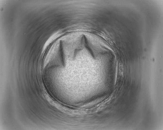 X0000087550004200705112133