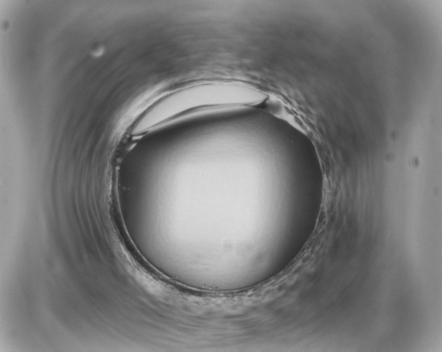 X0000087550005200705112133