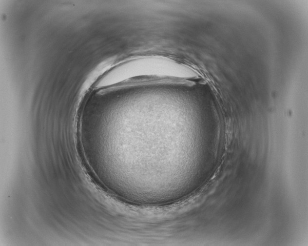 X0000087550006200705112133