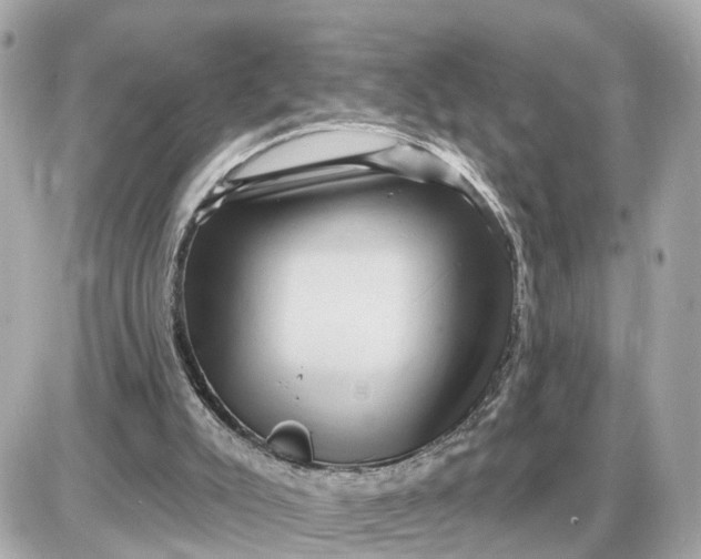 X0000087550007200705112133