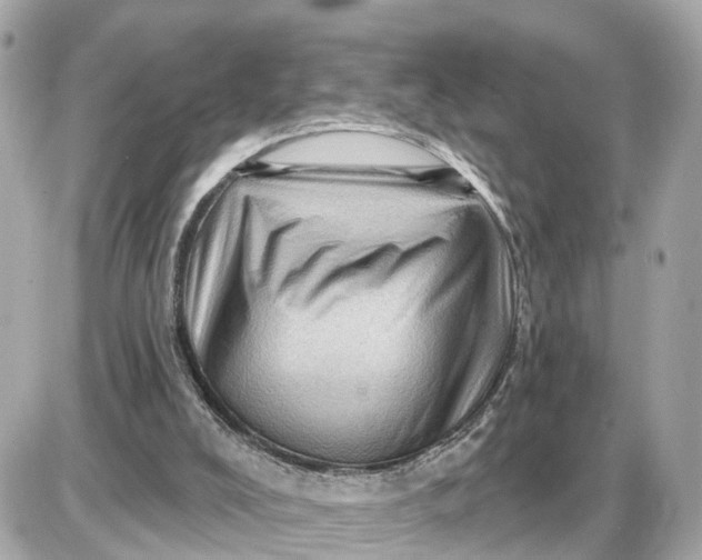 X0000087550008200705112133