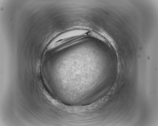 X0000087550009200705112133