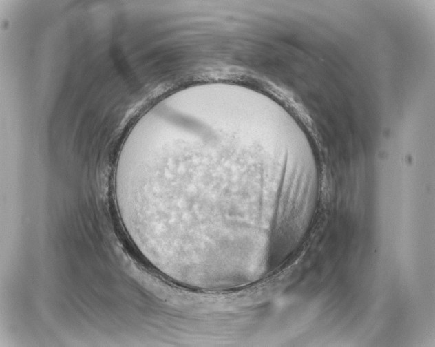 X0000087550010200705112133