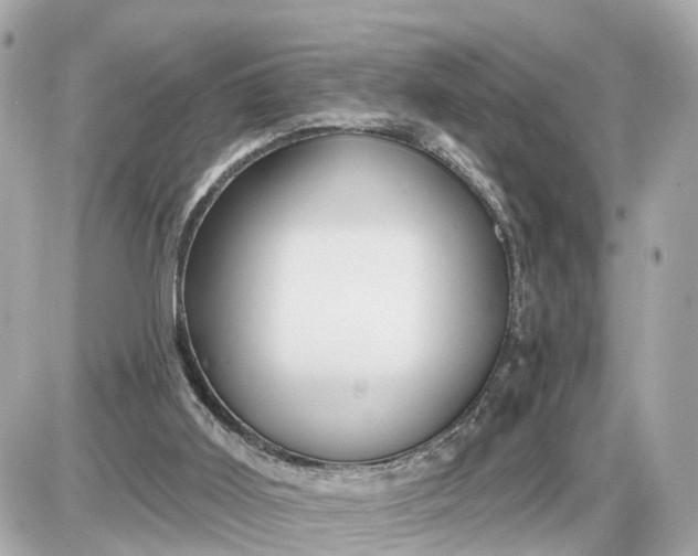 X0000087550011200705112133