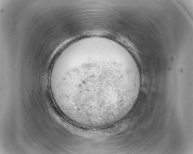 X0000087550012200705112133