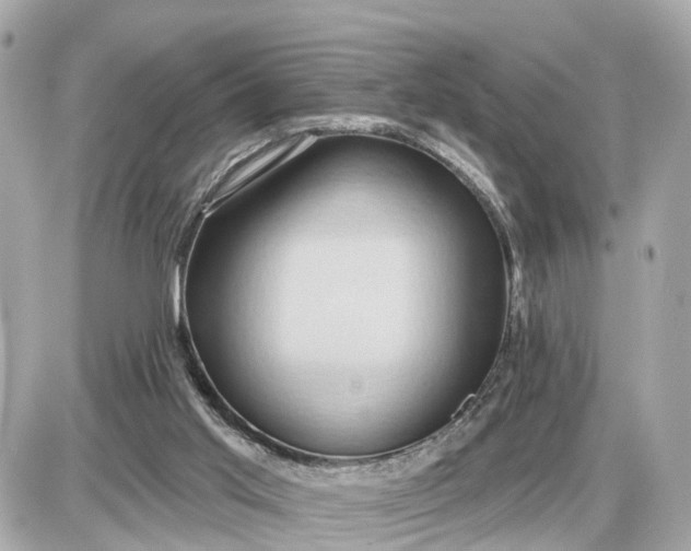 X0000087550013200705112133