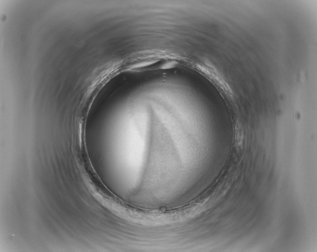 X0000087550014200705112133