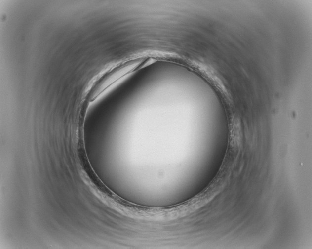 X0000087550015200705112133