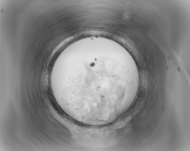 X0000087550016200705112133