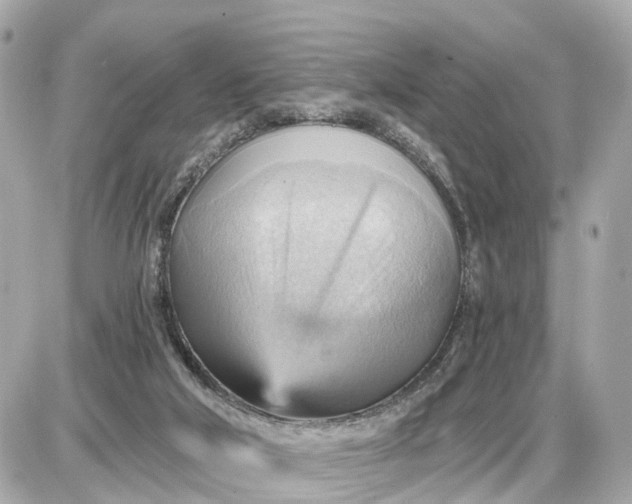 X0000087550018200705112133