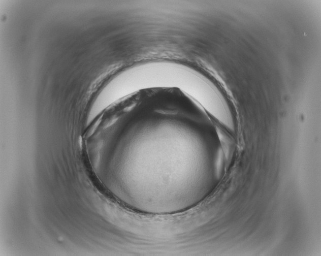 X0000087550019200705112133