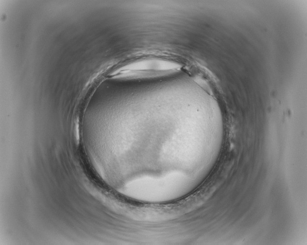 X0000087550020200705112133