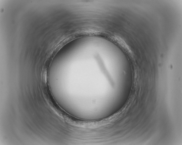 X0000087550021200705112133