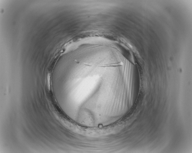 X0000087550022200705112133