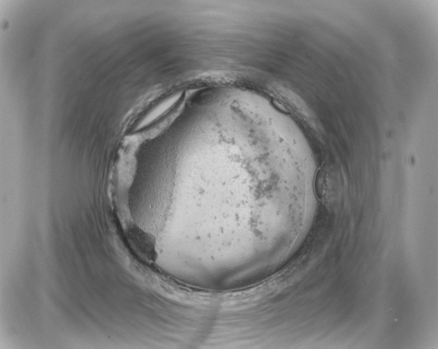 X0000087550023200705112133