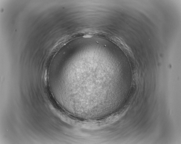 X0000087550024200705112133