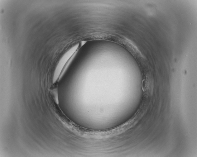 X0000087550025200705112133