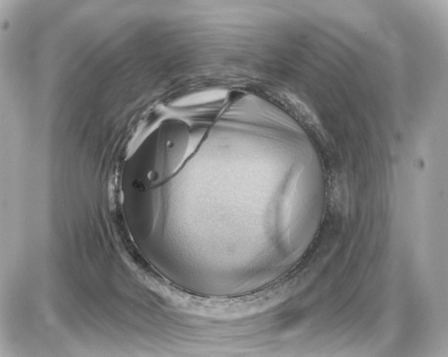 X0000087550026200705112133